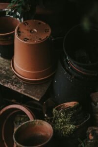 Plant pots