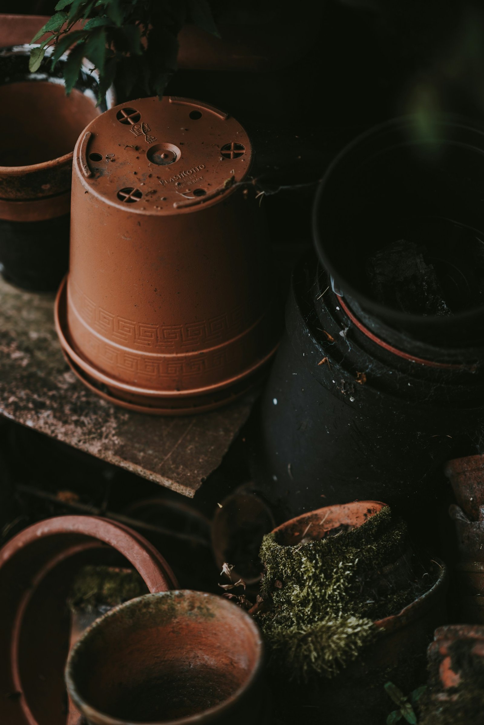 Plant pots
